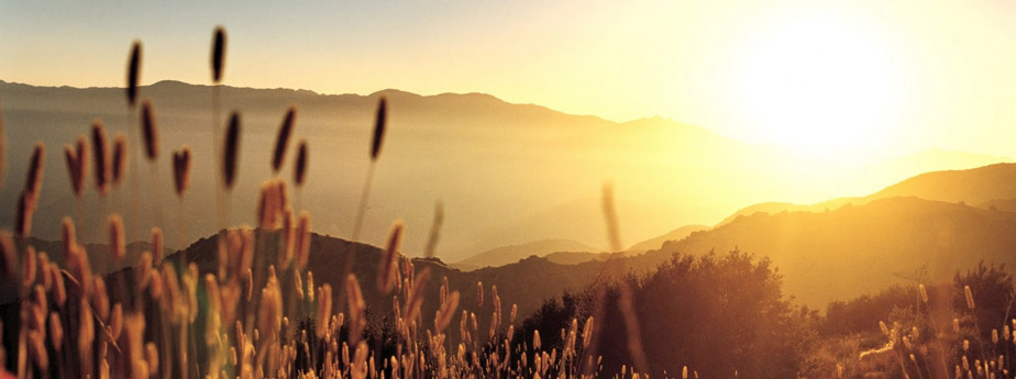 slider_image1